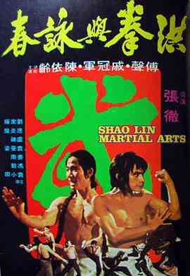 《洪拳与咏春》免费在线播放｜动作·中国台湾